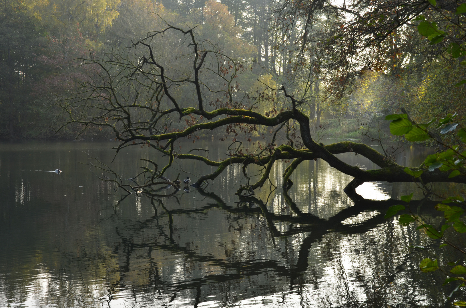 Herbststimmung am See