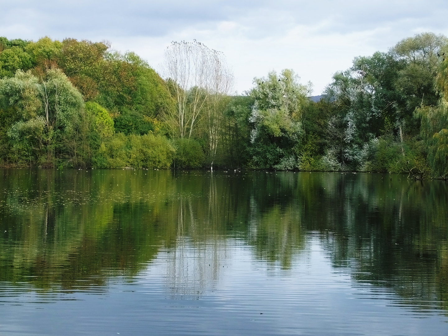 Herbststimmung am See (Bild 1)