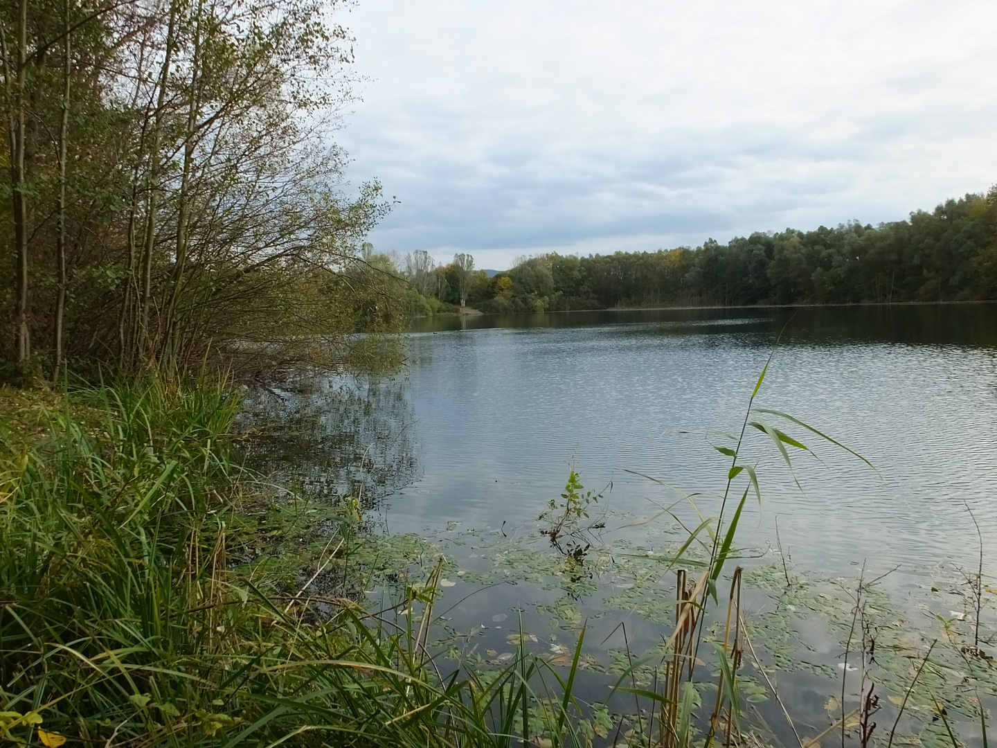 Herbststimmung am See (Bild 2)