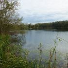 Herbststimmung am See (Bild 2)