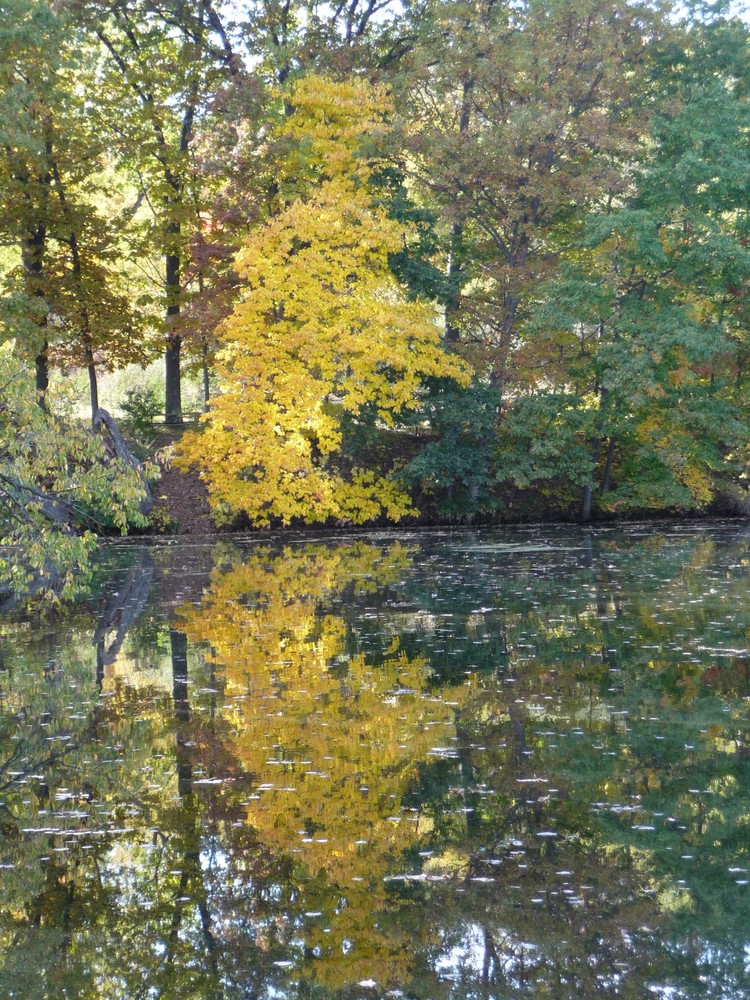 Herbststimmung am See