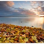 Herbststimmung am See