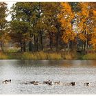 Herbststimmung am See