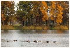 Herbststimmung am See