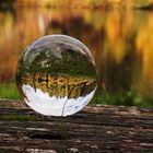 Herbststimmung am See / Harz