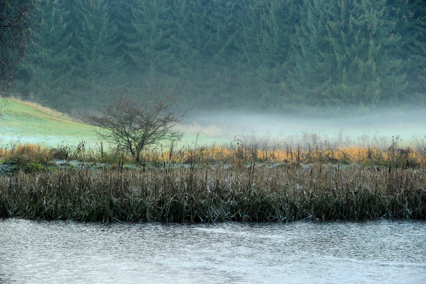 Herbststimmung am Seeufer