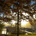 Herbststimmung am Segelhafen