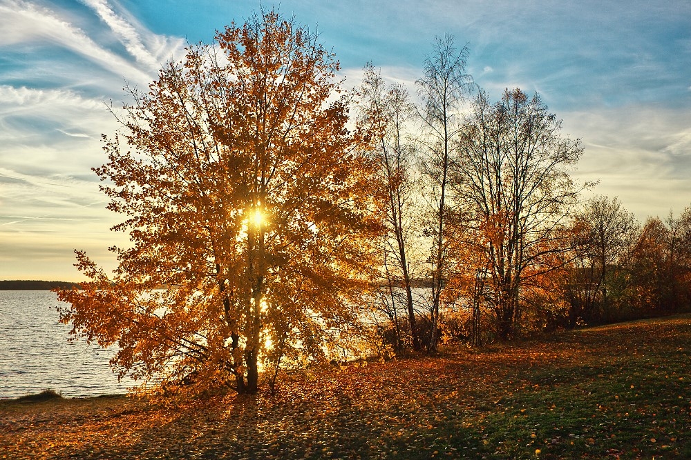 Herbststimmung am Senftenberger See