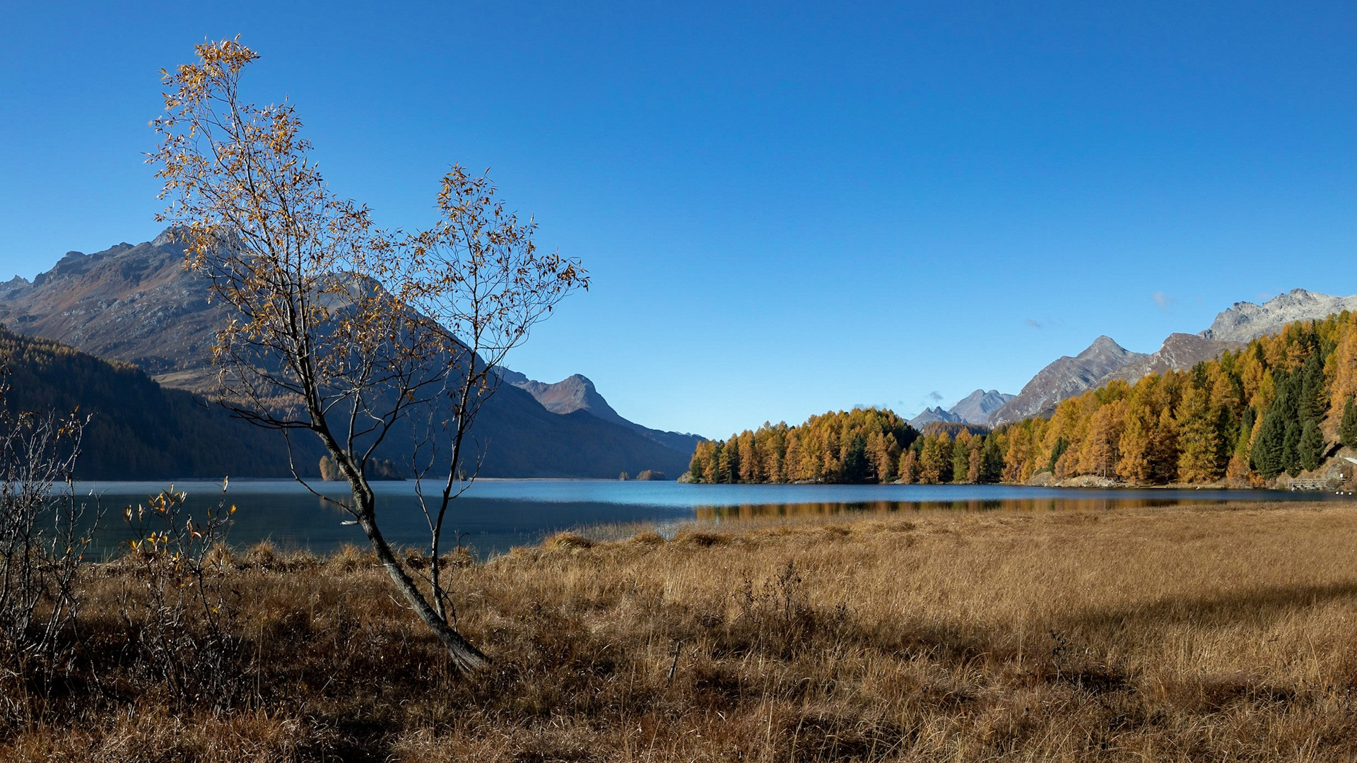 Herbststimmung am Silsersee im Engadin