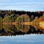 Herbststimmung am Staudhamer See (2)
