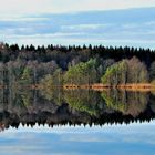 Herbststimmung am Staudhamer See (3)