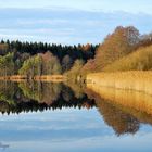 Herbststimmung am Staudhamer See