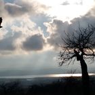 Herbststimmung am Stausee