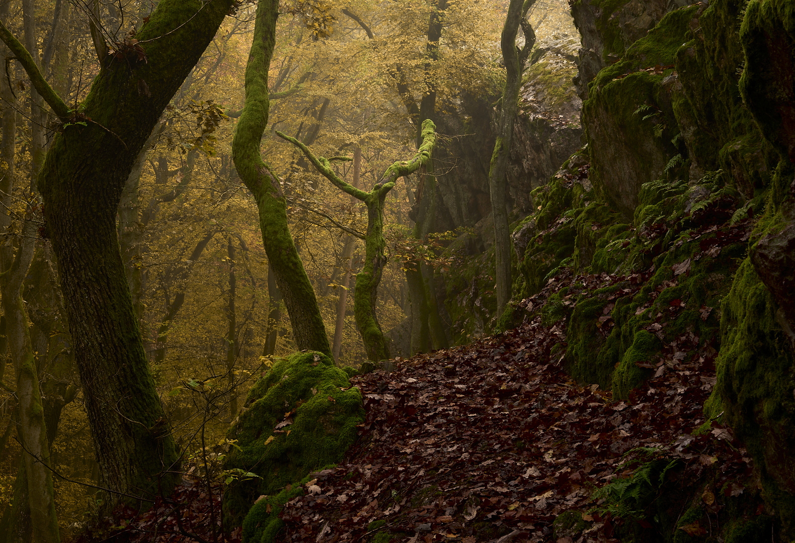 Herbststimmung am Stein