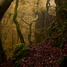 Herbststimmung am Stein