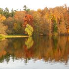 Herbststimmung am Steinbrücker Teich in Darmstadt