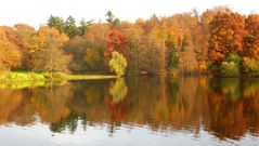 Herbststimmung am Steinbrücker Teich in Darmstadt