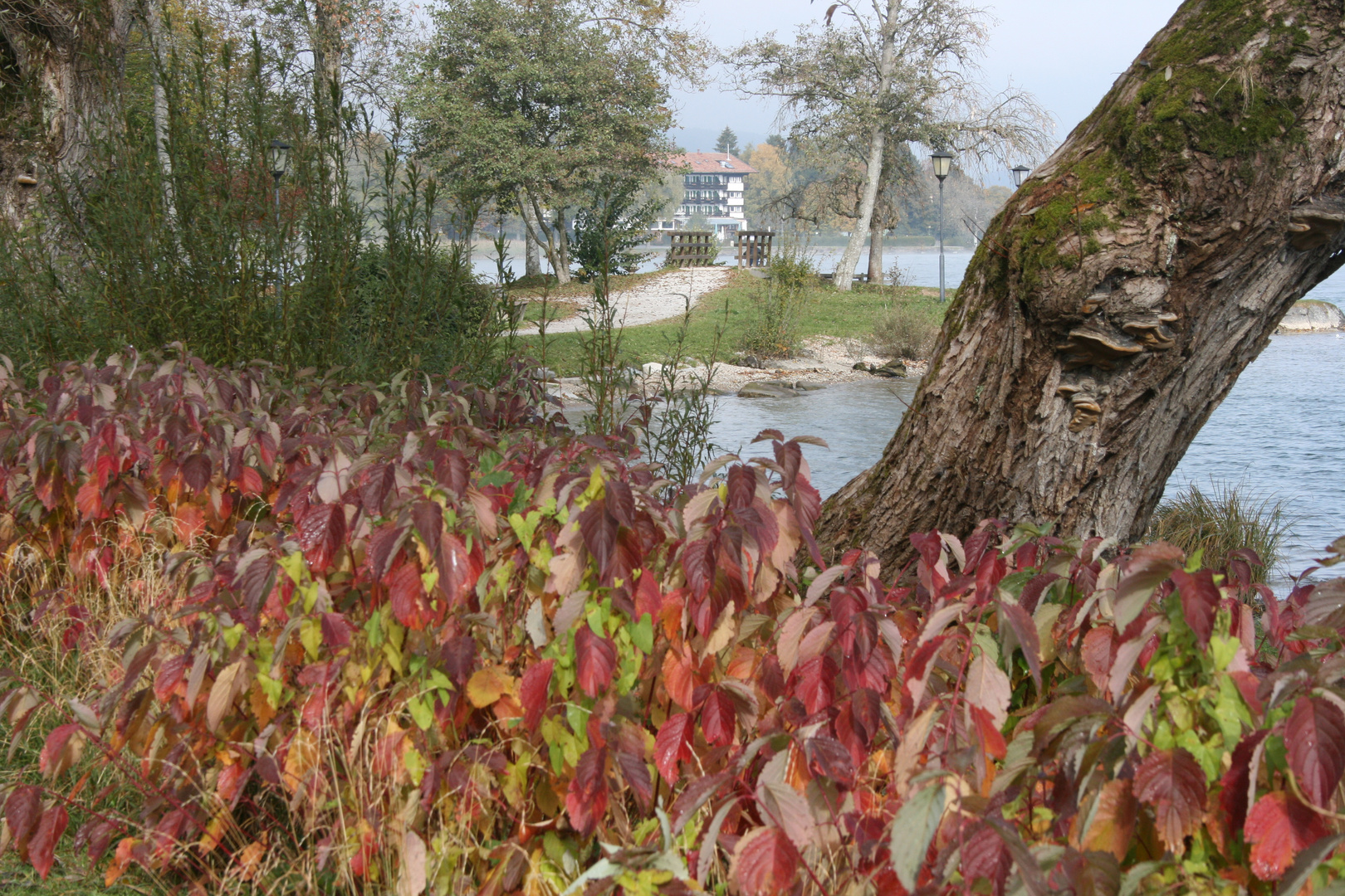 Herbststimmung am Tegernsee