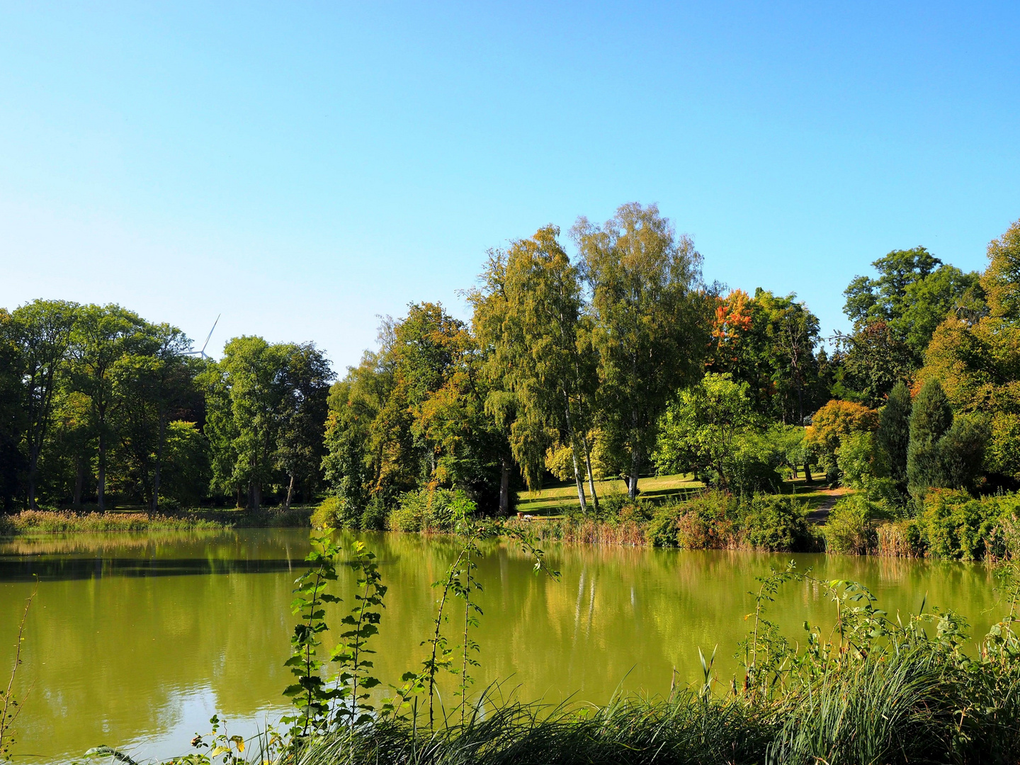 Herbststimmung am Teich