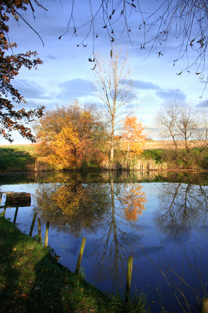 Herbststimmung am Teich