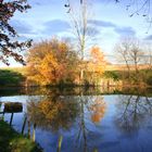 Herbststimmung am Teich