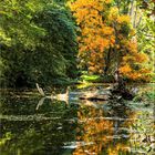 Herbststimmung am Teich