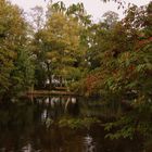 -Herbststimmung am Teich-