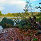Herbststimmung am Teich