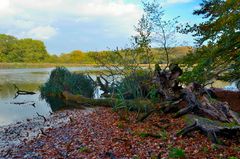 Herbststimmung am Teich