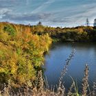 Herbststimmung am Teich