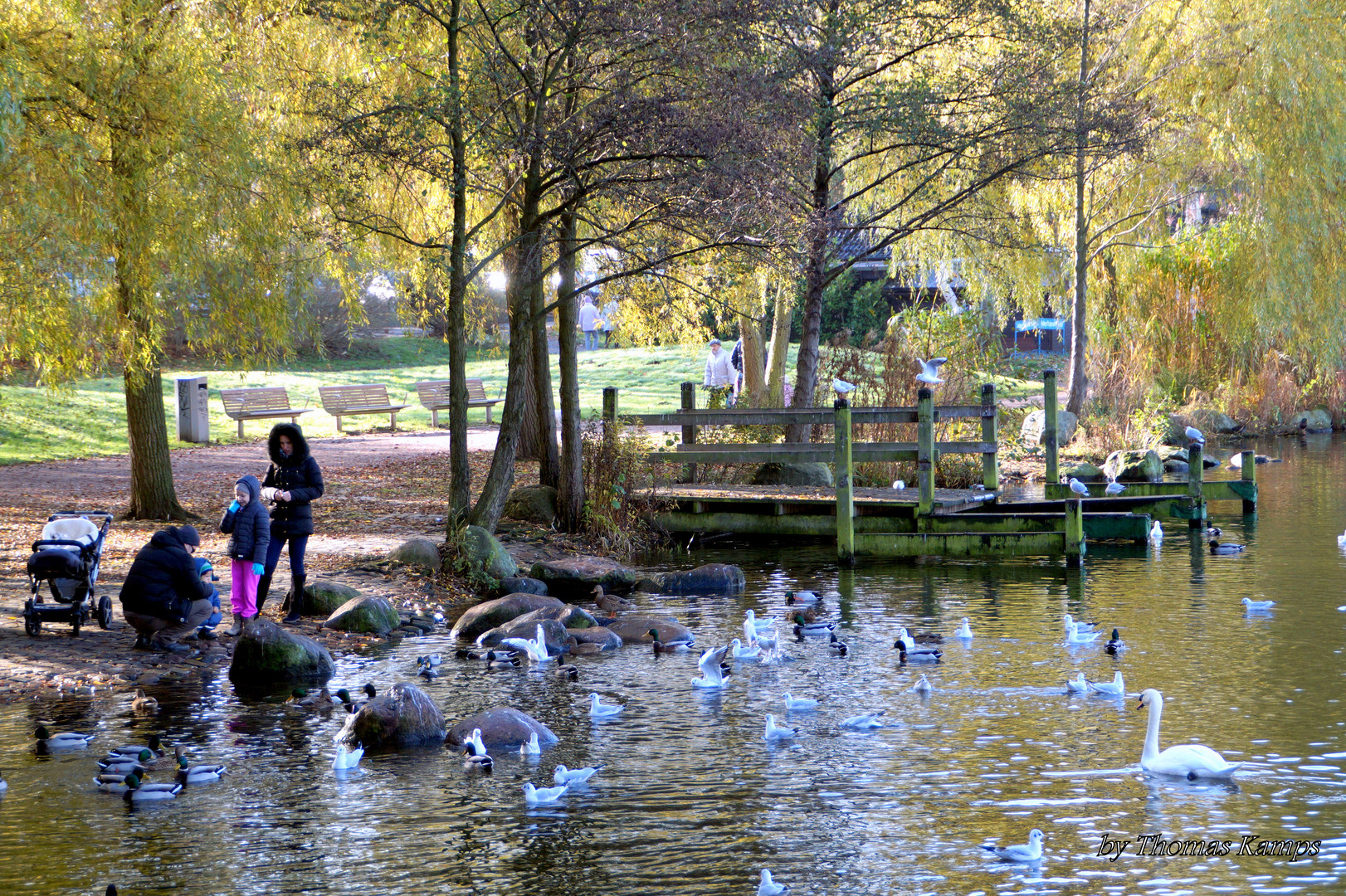 Herbststimmung am Teich im September