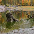 Herbststimmung am Toplitzsee