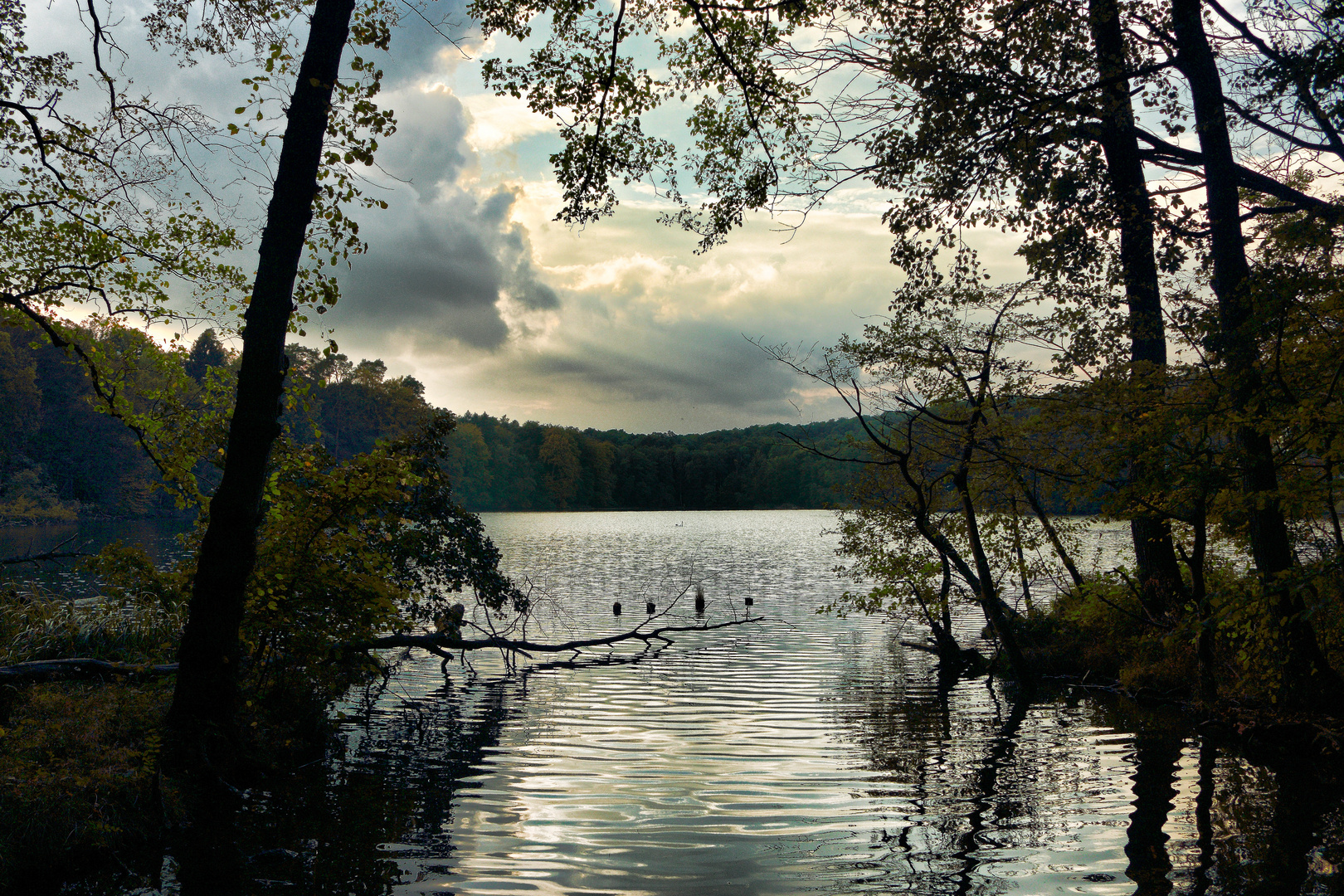 Herbststimmung am Tornowsee