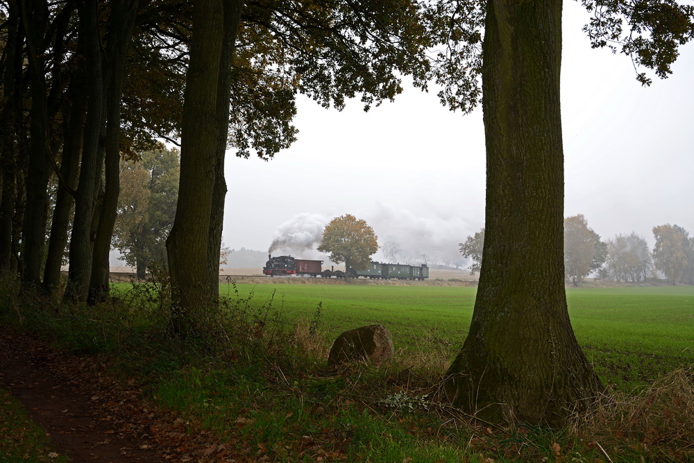 Herbststimmung am Tüchner Weg