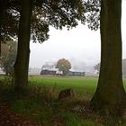 Herbststimmung am Tüchner Weg