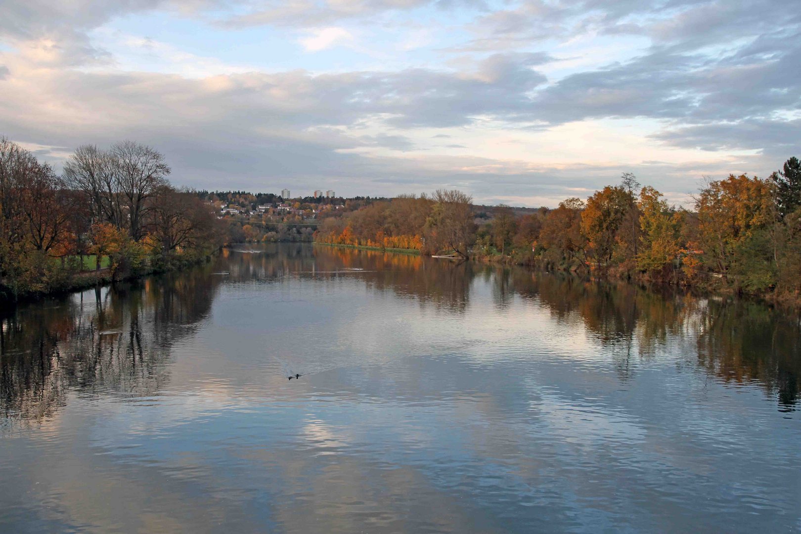 Herbststimmung am Ulmer Donauufer 2