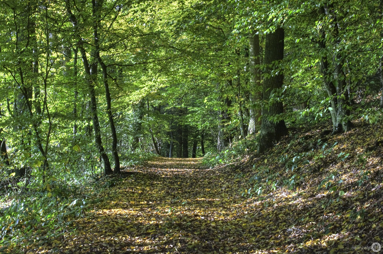 HerbstStimmung am Waldpfad