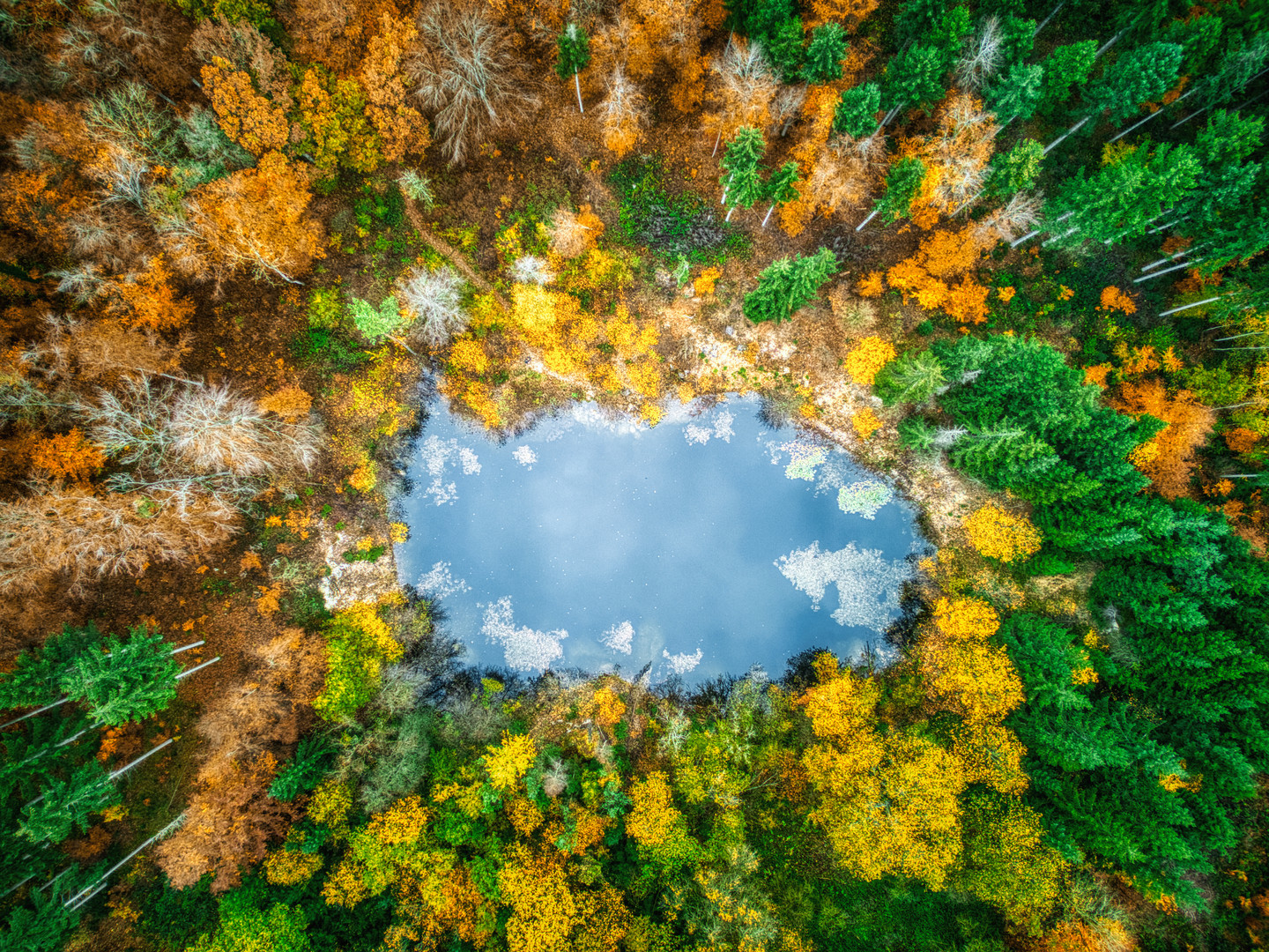 Herbststimmung am Waldsee