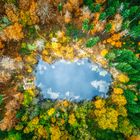 Herbststimmung am Waldsee