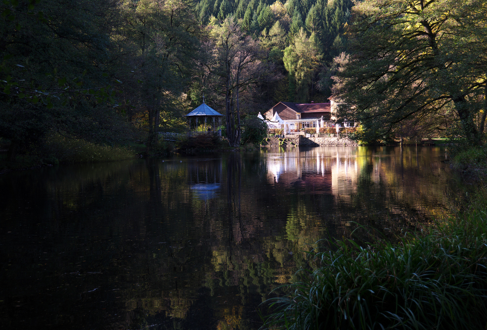 Herbststimmung am Waldsee 