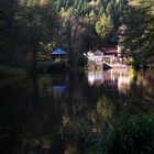 Herbststimmung am Waldsee 