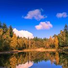 Herbststimmung am Waldsee