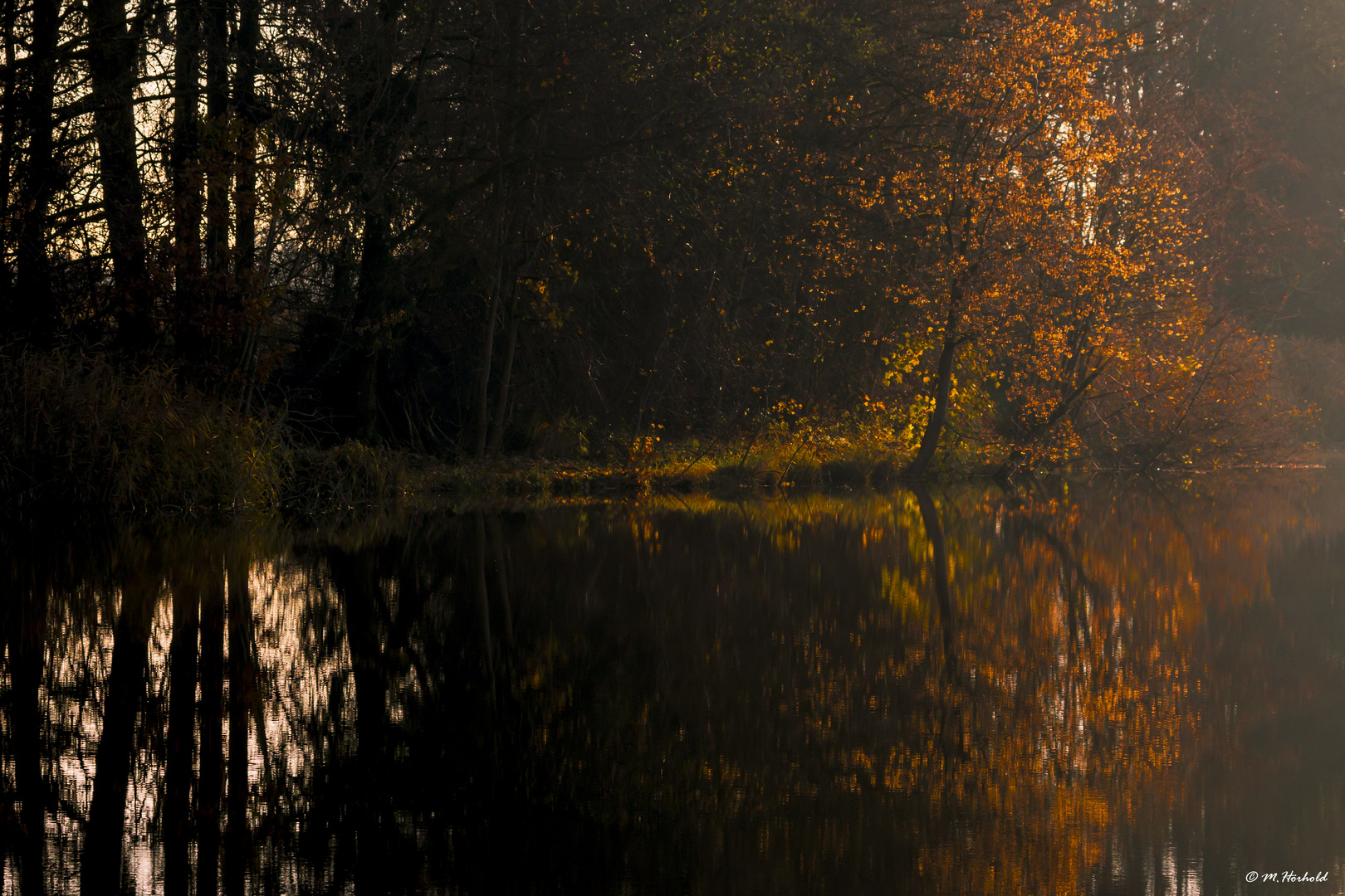 Herbststimmung am Wanneberger