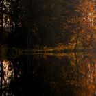 Herbststimmung am Wanneberger