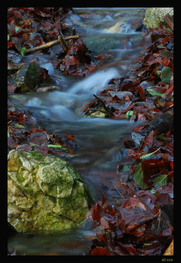 Herbststimmung am Wasser