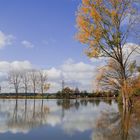 Herbststimmung am Weiher