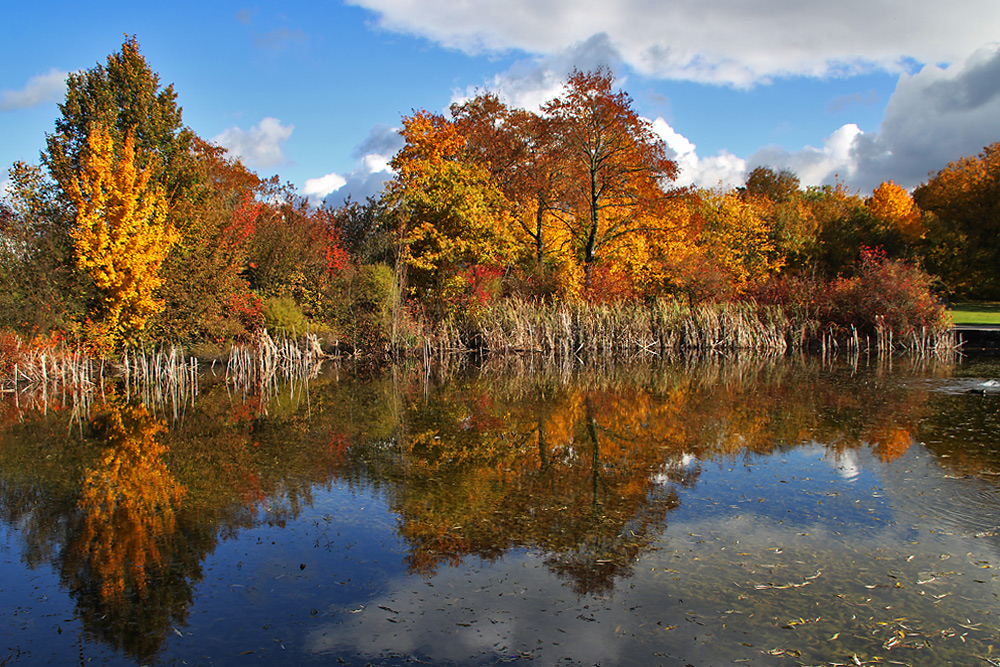 Herbststimmung am Weiher