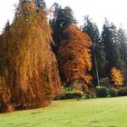 Herbststimmung am Weiher