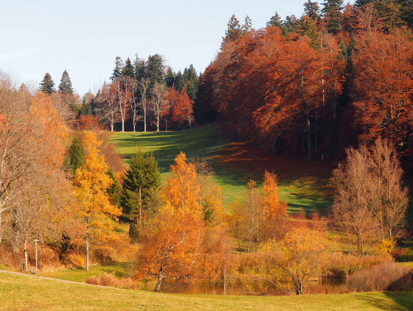 Herbststimmung am Weiher