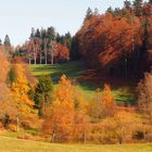 Herbststimmung am Weiher